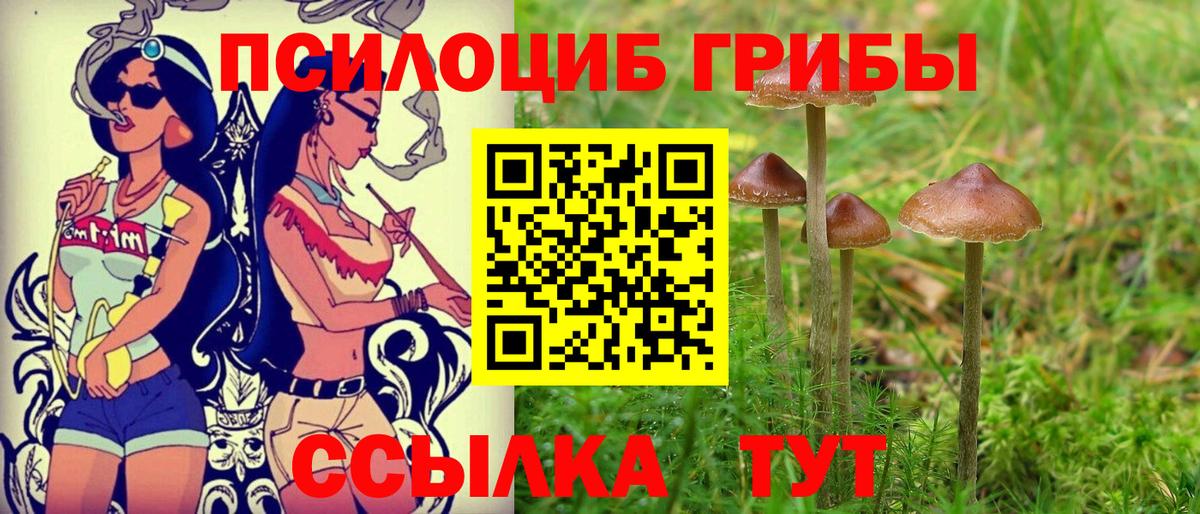 Псилоцибиновые грибы мухоморы Раменское